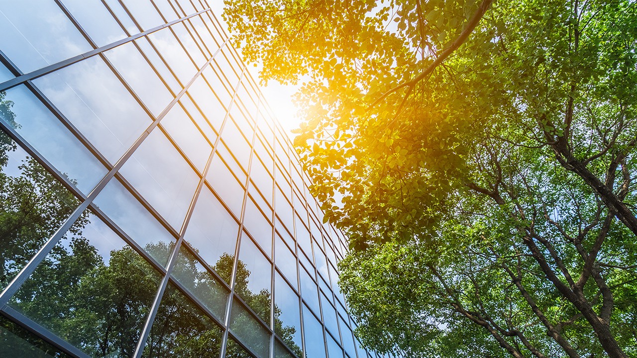 Saulės nutvieksto medžio atspindys stikliniame pastate